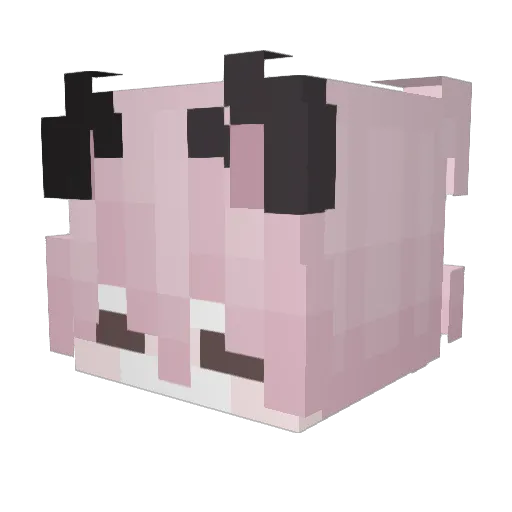 Ryuu999 Minecraft avatar head, 3D render