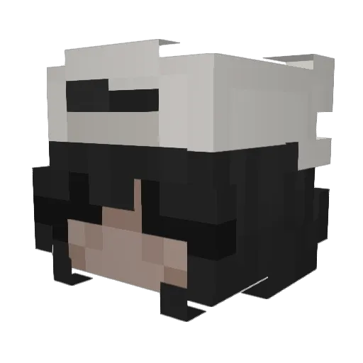 RyuuRanger Minecraft avatar head, 3D render