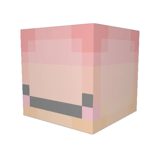 Ryuuforce Minecraft avatar head, 3D render