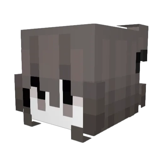 Ryuuh__ Minecraft avatar head, 3D render