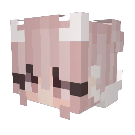 Ryuuu_tv Minecraft avatar head, 3D render