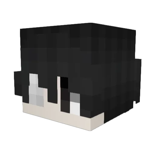 Ryvem Minecraft avatar head, 3D render