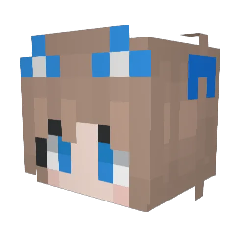 Ryw_TM Minecraft avatar head, 3D render