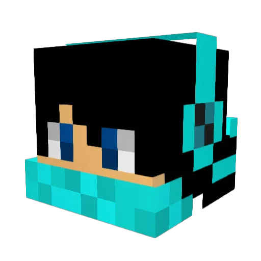 Rywizard Minecraft avatar head, 3D render