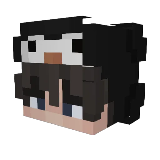 Rywm Minecraft avatar head, 3D render