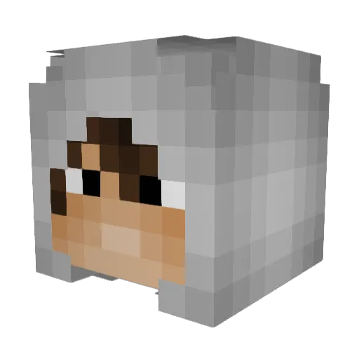 Ryxador Minecraft avatar head, 3D render