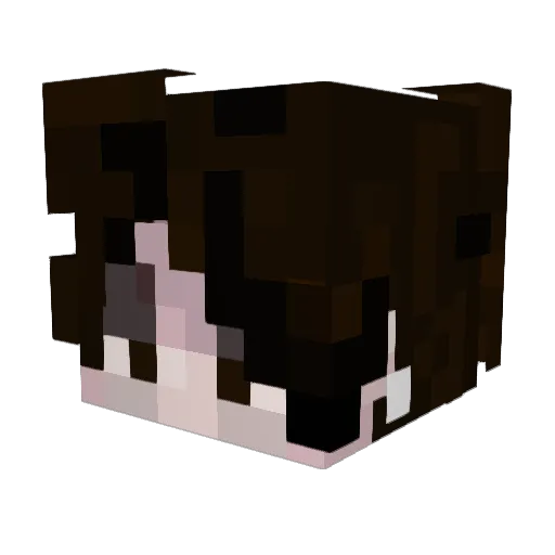 Ryxen_ Minecraft avatar head, 3D render
