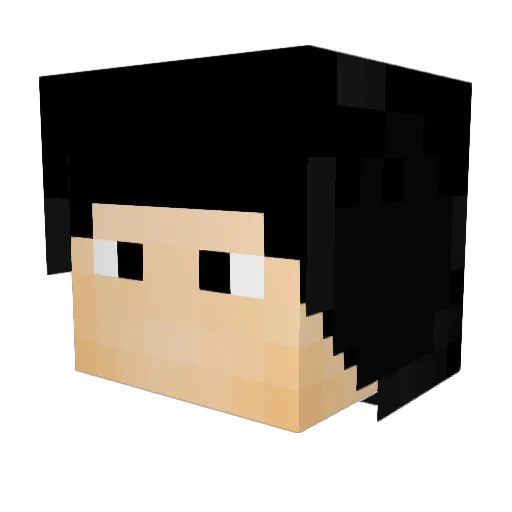 Ryxyos Minecraft avatar head, 3D render