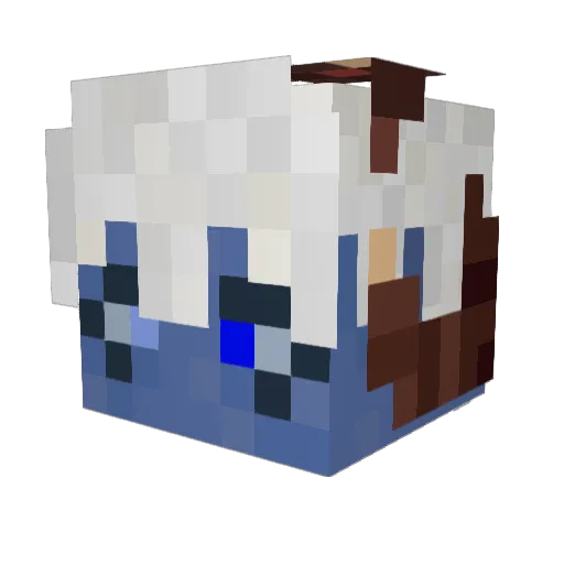 Ryyxie Minecraft avatar head, 3D render