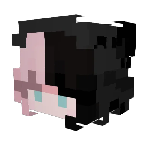 RyzHez Minecraft avatar head, 3D render