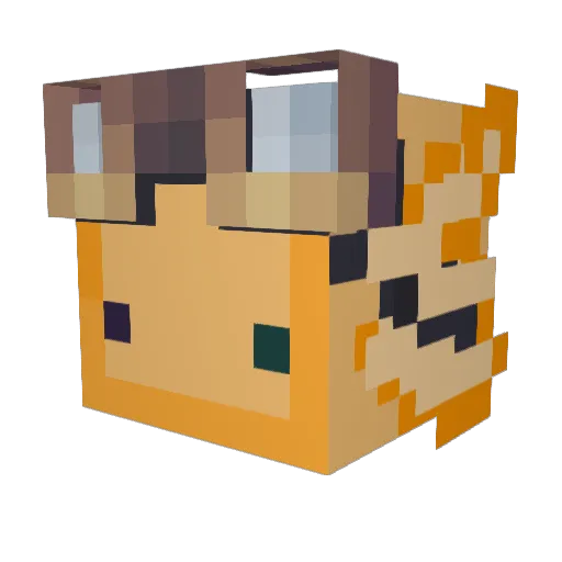 Ryze_Galaxy13 Minecraft avatar head, 3D render