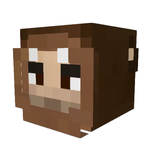 Ryzell16 Minecraft avatar head, 3D render
