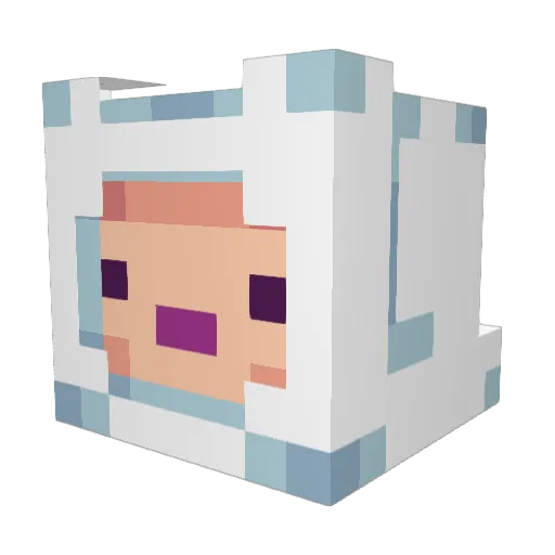 RzN10 Minecraft avatar head, 3D render