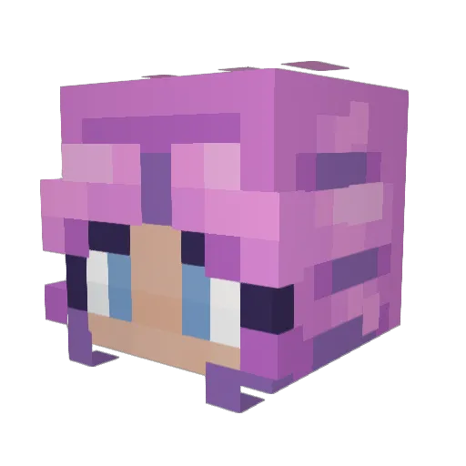 Rzep Minecraft avatar head, 3D render