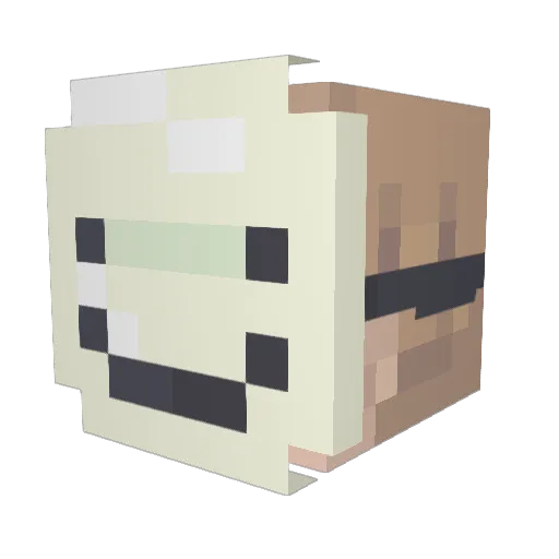Rzhy_ Minecraft avatar head, 3D render