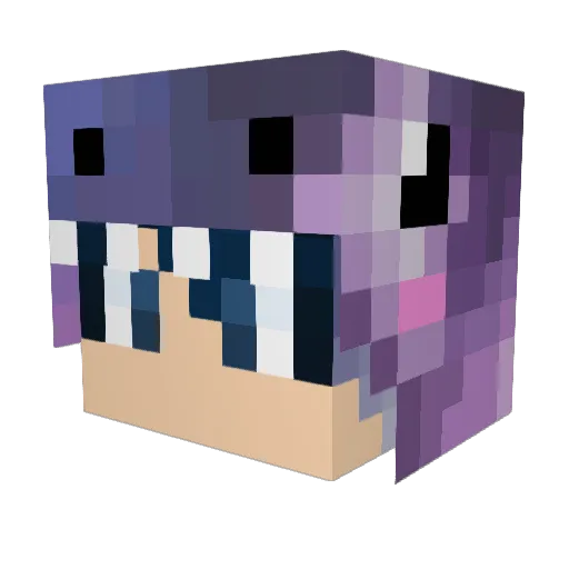 Rzlus Minecraft avatar head, 3D render