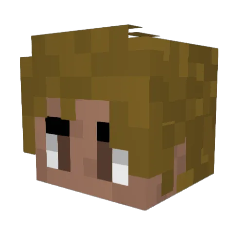 S00RIGO Minecraft avatar head, 3D render