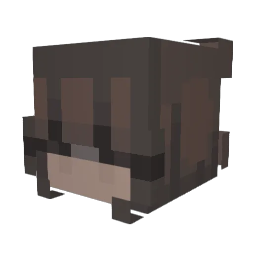S00SHII Minecraft avatar head, 3D render