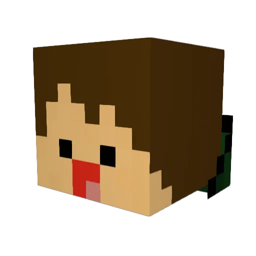 S04Timo Minecraft avatar head, 3D render
