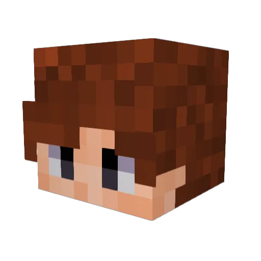 S0C00lDude Minecraft avatar head, 3D render