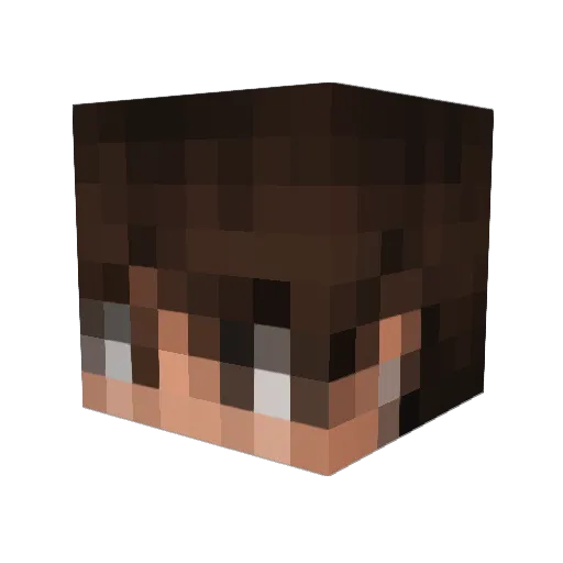 S0K3R2 Minecraft avatar head, 3D render