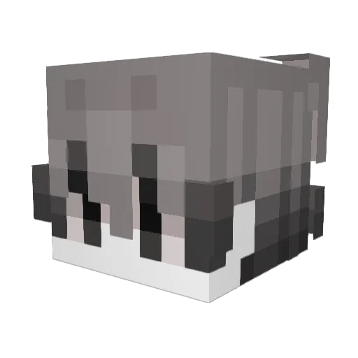 S0L09885 Minecraft avatar head, 3D render