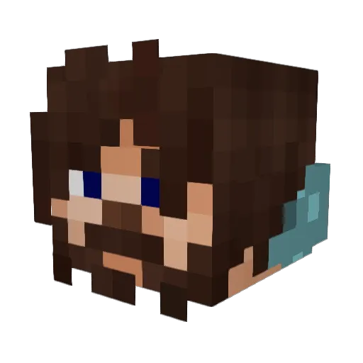 S0L0_wrld Minecraft avatar head, 3D render