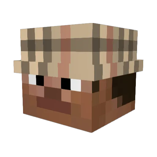 S0NICc1 Minecraft avatar head, 3D render