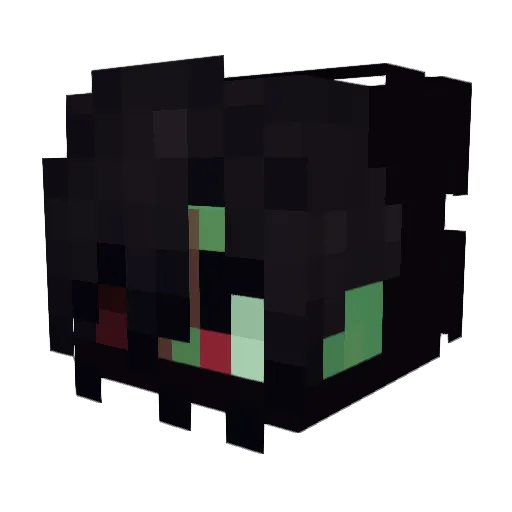 S0NNYSKIES Minecraft avatar head, 3D render