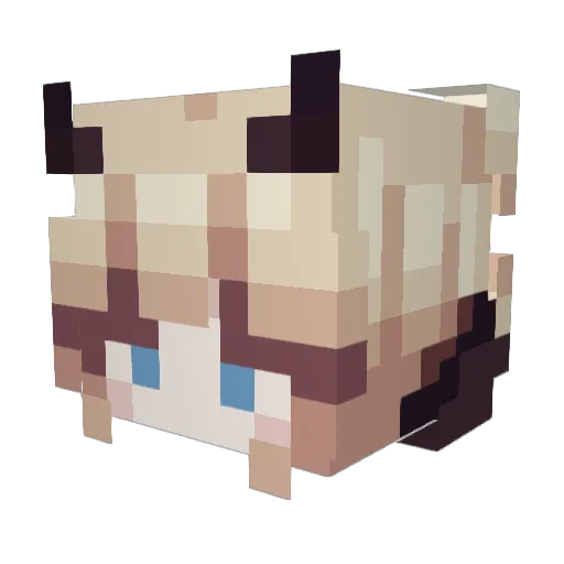S0Noob Minecraft avatar head, 3D render