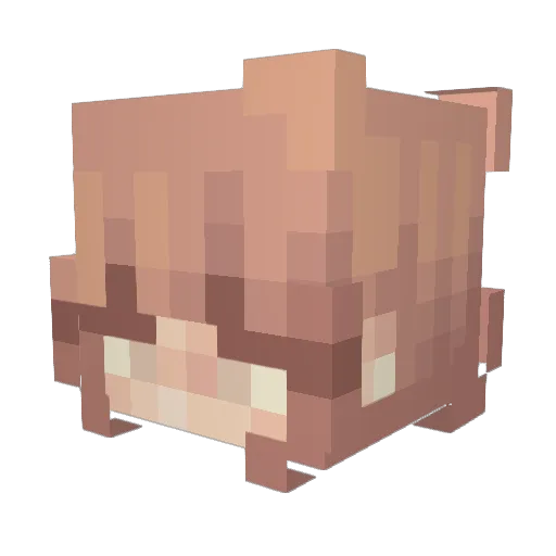 S0PHI44 Minecraft avatar head, 3D render