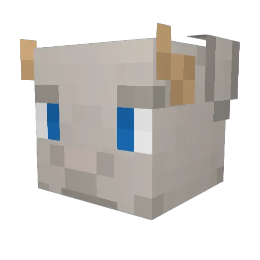 S0SoSophie Minecraft avatar head, 3D render
