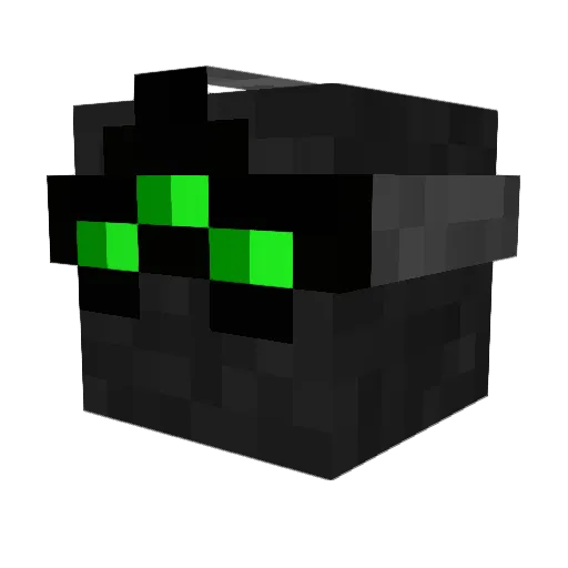 S0TFS_ Minecraft avatar head, 3D render