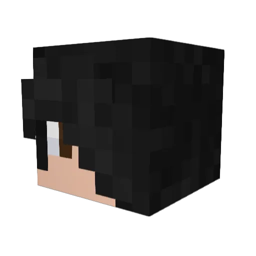 S0UL_E4T3R_ Minecraft avatar head, 3D render