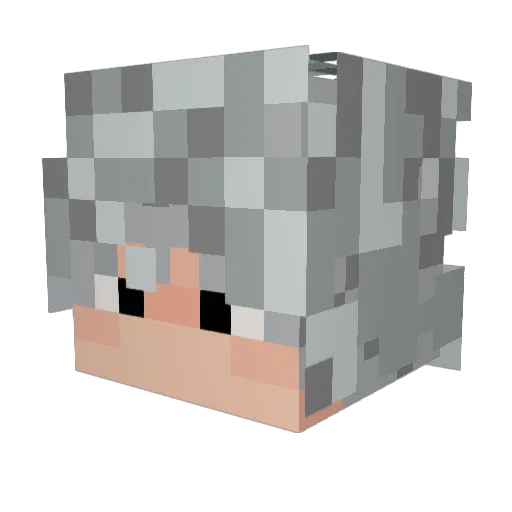 S0UNDWAVE08 Minecraft avatar head, 3D render