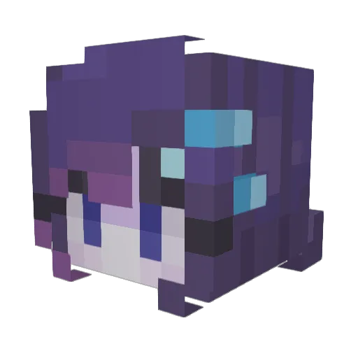 S0UPBUR Minecraft avatar head, 3D render