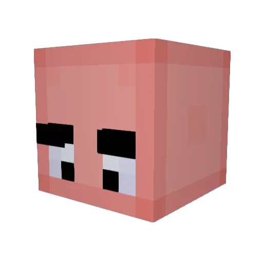 S0URPICKLEZ Minecraft avatar head, 3D render