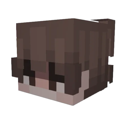 S0VAA Minecraft avatar head, 3D render