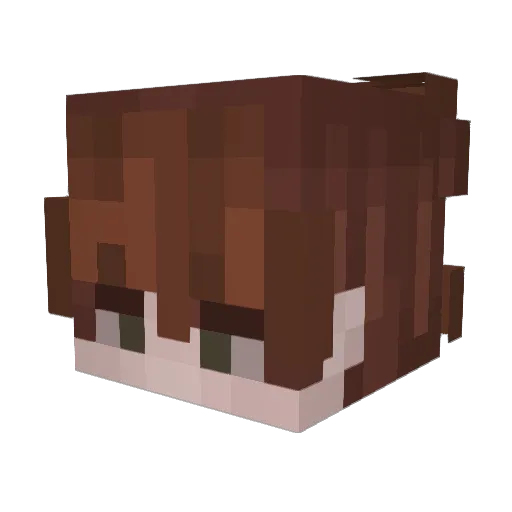 S0crate_ Minecraft avatar head, 3D render