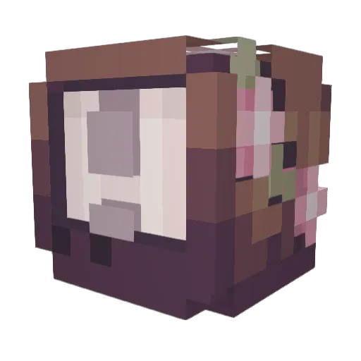 S0ftTunes Minecraft avatar head, 3D render