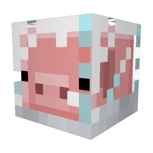 S0ggy_Potatoes Minecraft avatar head, 3D render