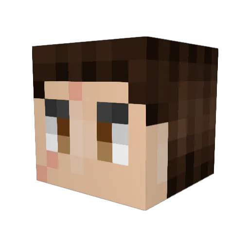 S0ggybacon Minecraft avatar head, 3D render