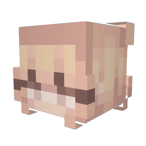 S0ggymelllon Minecraft avatar head, 3D render