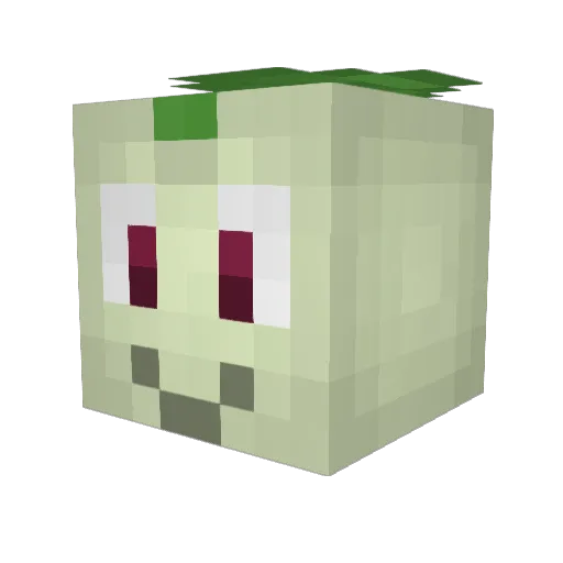 S0k0n Minecraft avatar head, 3D render