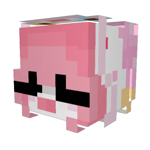S0lKami Minecraft avatar head, 3D render
