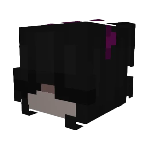 S0lV3il_ Minecraft avatar head, 3D render