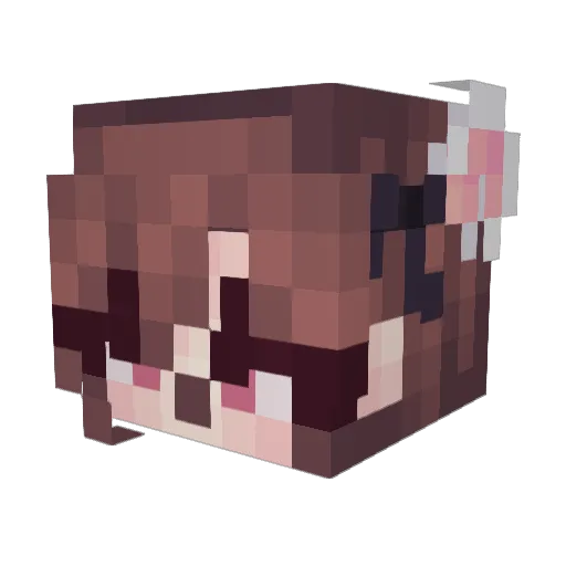 S0lar3clipsee Minecraft avatar head, 3D render
