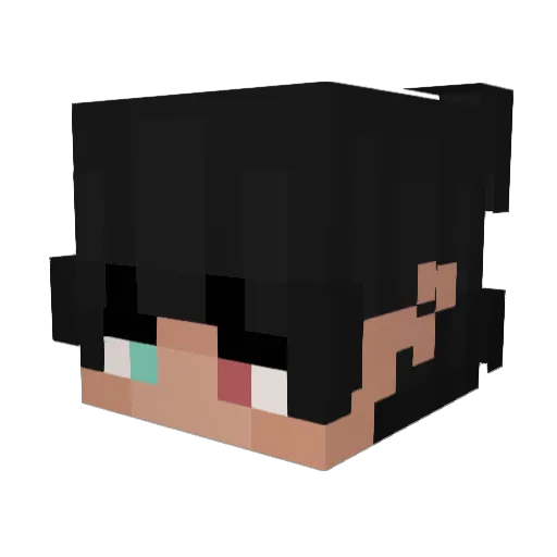 S0lenXX Minecraft avatar head, 3D render