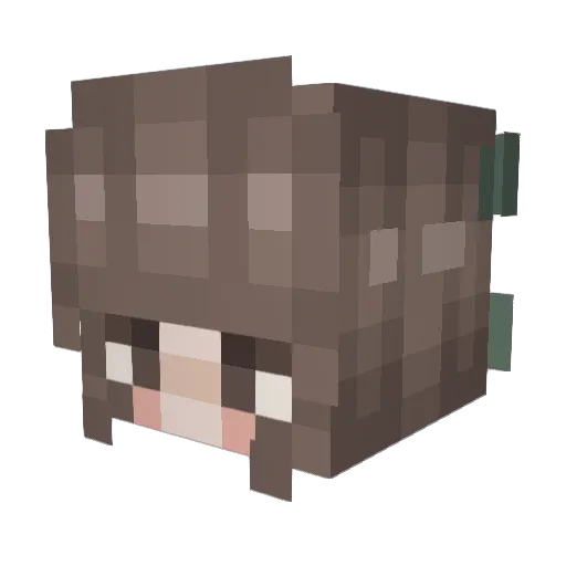 S0lfen Minecraft avatar head, 3D render