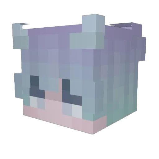 S0m3Rqnd0 Minecraft avatar head, 3D render